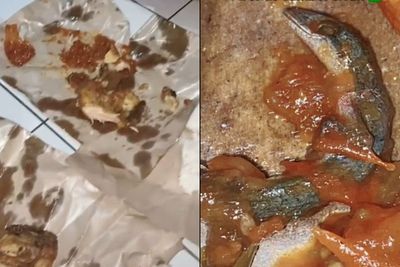 Cewek Ini Temukan Cicak di Sambal Pecel Ayamnya, Auto Hilang Nafsu Makan!