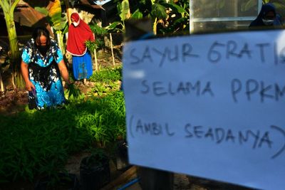 FOTO: Aksi Berbagi Sayur Gratis Pada Masa PPKM di Gowa