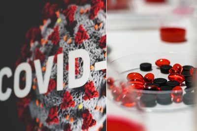 Studi: Obat Lemak Darah Dapat Mengurangi Infeksi SARS-CoV-2 Hingga 70 Persen