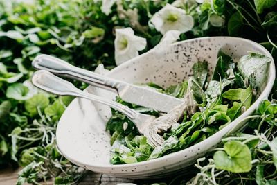 Salad dan Sup Dianggap Makanan Sehat, Ini Kata Para Ahli