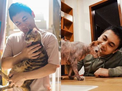 Punya 5 Ekor Kucing, Raditya Dika Sebut Alasan Jadikan Kucing Sebagai Teman Hidup