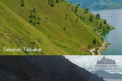 Before-After Keindahan Alam Hijau Danau Toba Lenyap Akibat Kebakaran Hutan