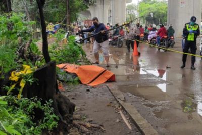 Temukan Jasad Wanita Terbungkus Kardus Saat Angkut Sampah, Ini Kesaksian Petugas PPSU