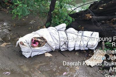Merinding! Jasad Terbungkus Kardus Ditemukan di Cakung