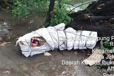 Jasad Wanita Tanpa Busana yang Terbungkus Kardus di Cakung Diduga Dibunuh