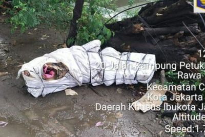 Geger Penemuan Mayat Wanita Hamil Dibungkus Terpal di Cakung, Cuma Pakai BH