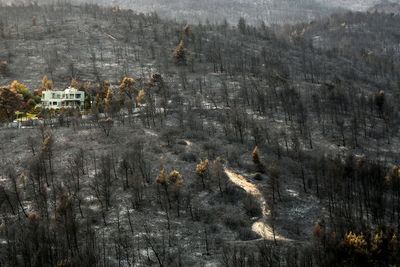 FOTO: Pascakebakaran Hutan di Athena Utara