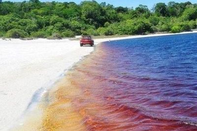 Wow! Danau di Brazil ini Punya Warna Air yang Cantik, Mirip Coca-Cola