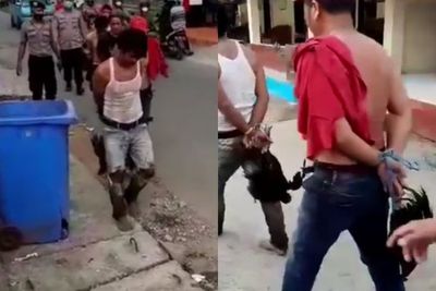 Viral Video Pelaku Judi Sabung Ayam di Manggala Kocar-kacir saat Digrebek