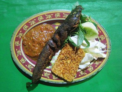 Pagi Ini Makan Pecel Lele Yuk Guys!