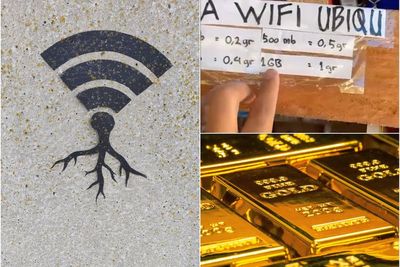 Viral Mahalnya Beli Voucher Wifi di Papua, Harus Bayar Pakai Emas: 1 GB setara 1 Gram