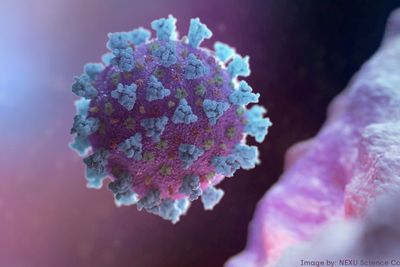 Mengenal Lebih Dekat Dengan Virus Marburg, Virus Yang Muncul di Afrika