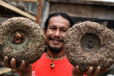 FOTO: Budidaya Umbi Porang