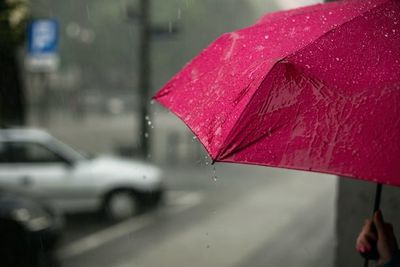 BMKG: Medan Berpotensi Hujan dengan Intensitas Sedang