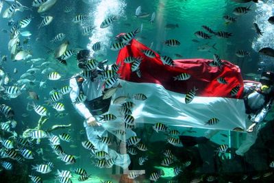 FOTO: Pengibaran Bendera Bawah Air di Bali
