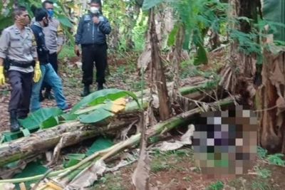 Geger! Warga Temukan Mayat Membusuk di Kebun Pisang Cisauk, Diduga Meninggal Kelaparan