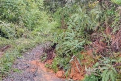 Akibat Hujan, Tebing 5 Meter Longsor dan Nyaris Putus Akses Jalan Desa di Tapsel