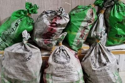 Corona Tak Lumpuhkan Pengedar, BNN Sita 324 Kg Sabu Asal Thailand, 6 Pengedar Ditahan