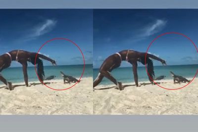 Sedang Kayang Saat Mengajar Yoga Online di Pantai, Tangan Wanita Ini Digigit Iguana