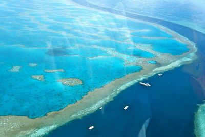 Penemuan Karang Raksasa Berusia 400 Tahun di Great Barrier Reef oleh Perenang!