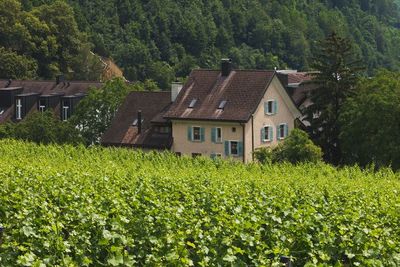 Kabar Duka dari Liechtenstein, Putri Mariem Meninggal Dunia