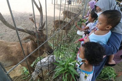 FOTO: Wisata Penangkaran Rusa di Kediri