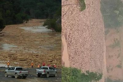 Potret Sungai Dibanjiri Kayu Hutan & Limbah Akibat Penebangan Pohon yang Tak Terkendali