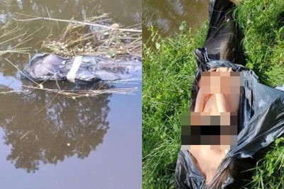 Dikira Korban Tewas yang Dibuang, Polisi Malah Temukan Kenyataan yang Membagongkan