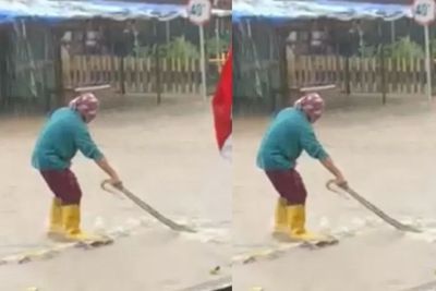 Hiii, Seekor Ular Sanca 2 Meter Muncul ke Jalan saat Hujan dan Banjir Landa Tanjungpinang