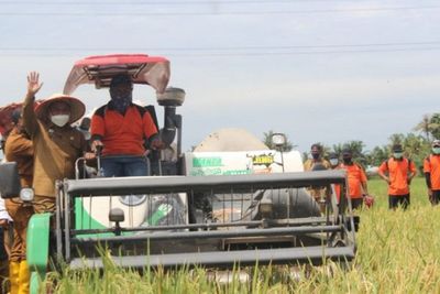 Tingkatkan Ketahanan Pangan, Pemkab Sergai Terus Dorong Produksi Pertanian