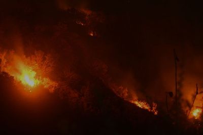 FOTO: Kebakaran Hutan di Situbondo