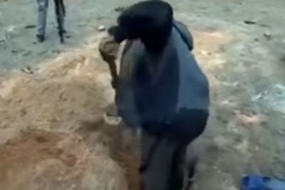 Pendeta Ini Percaya Dia Utusan Yesus, Namun Tewas Usai Mengubur Diri Demi Kebangkitan