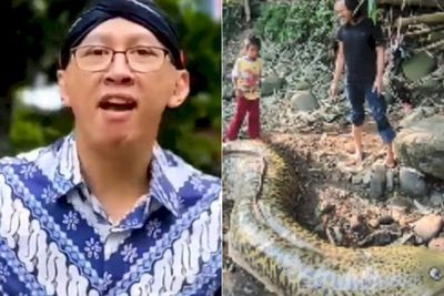 POPULER: Abu Janda Mencak-Mencak Muhammad Kece Ditangkap & Penangkapan Ikan Sidat Raksasa
