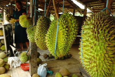 FOTO: Panen Durian di Mamuju