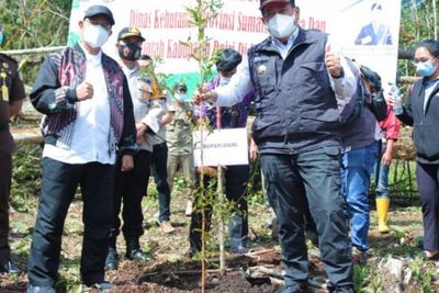 Lahan Kritis, Pemkab Dairi Tanam Pohon di Kawasan Hutan Lae Pondom