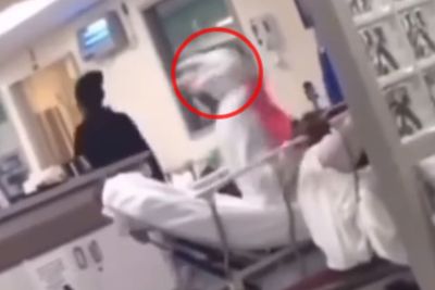Geger Penampakan Pocong Mencak-Mencak di Atas Kasur Rumah Sakit