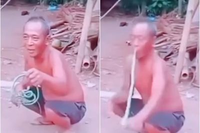 Anggap Sepele Pegang-Pegang Ular Kecil sambil Ngobrol, Bibir Pria Ini DIgigit