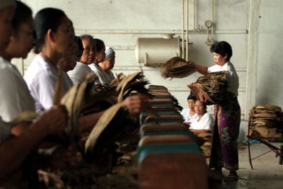Meningkat, Ekspor Tembakau Sumut Semester I Capai 125,840 Juta Dolar AS