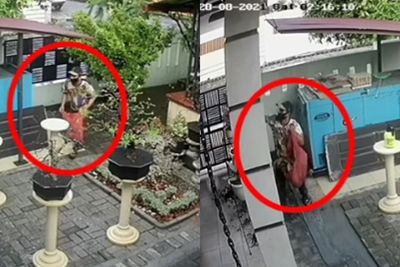 Maling Bunga Langka Beraksi di Kompleks Setia Budi Medan, Aksinya Terekam CCTV