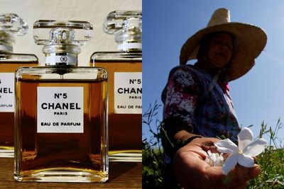 Chanel Membeli Ladang Bunga Melati, Inilah Alasannya!