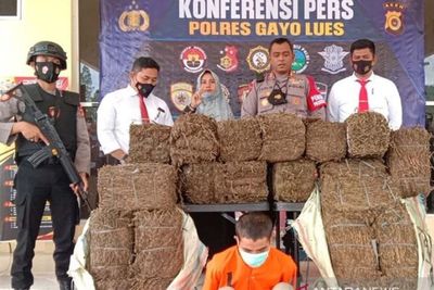 Polisi Gagalkan Peredaran 110 Kilogram Ganja di Aceh, Pelaku Terancam 20 Tahun Penjara