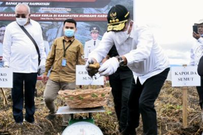 Tahun Depan Tambah Lahan 200 Ha, Gubsu Sebut Perkembangan Food Estate di Humbahas Positif