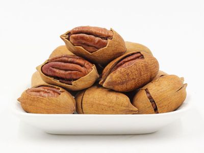 Makan Kacang Kenari 5 Kali Seminggu, Bisa Perpanjang Usia 1,3 Tahun Lebih Lama