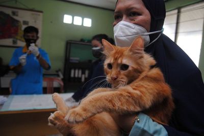 FOTO: Bakti Sosial Pelayanan Kesehatan Hewan