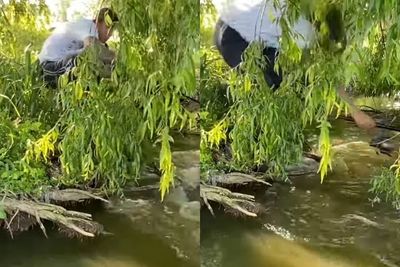 Viral Video Pria Memancing di Danau, Malah Hampir Jadi Mangsa Ikan Raksasa