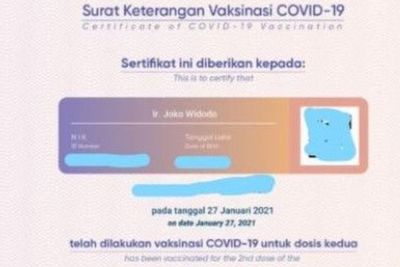Heran Data Pribadi NIK Jokowi Diretas, Denny Siregar: Punya Presiden Aja Bobol
