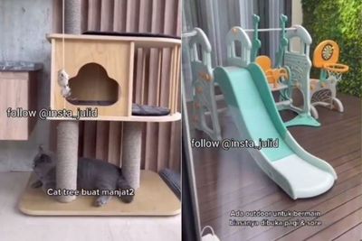Melongo! Kucing Ini Punya Kamar Estetik Dilengkapi Fasilitas, Netizen: RIP Kamar Kosan Gue