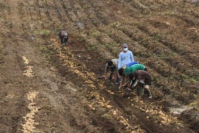 Gubsu Edy Rencanakan Pengembangan Tanaman Herbal di Sumut