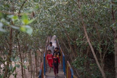FOTO: Mangrove Pantai Pasir Putih Karawang