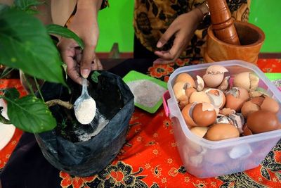 FOTO: Memanfaatkan Limbah Cangkang Telur Menjadi Pupuk Organik
